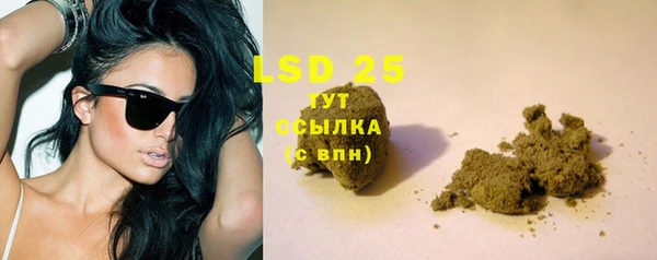 спайс Корсаков