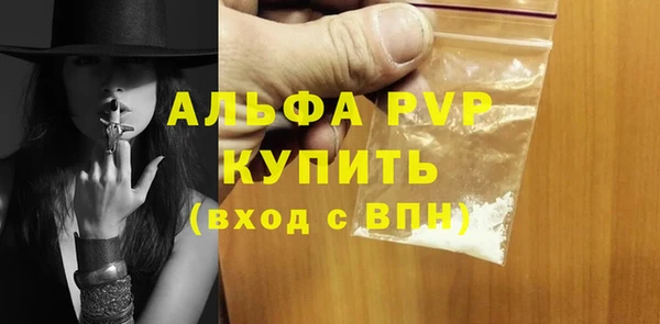 спайс Корсаков