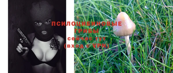 спайс Корсаков