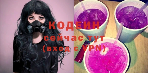 спайс Корсаков