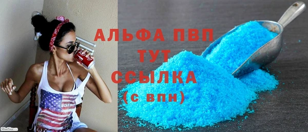 спайс Корсаков