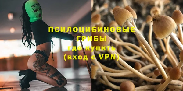 кокс Костерёво