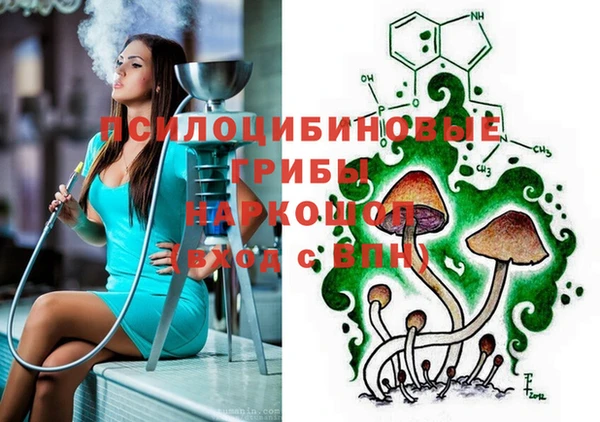 герыч Коряжма