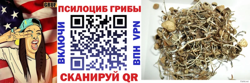 Псилоцибиновые грибы мицелий  Купить где  Закаменск 